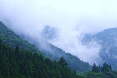 霧
