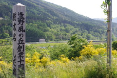 遠野