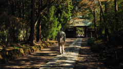 one scene 