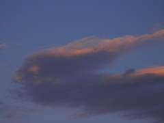 ９月１６日