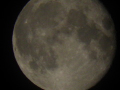 2010_0530_001308-P5300172