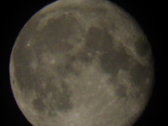 2010_0530_001434-P5300173