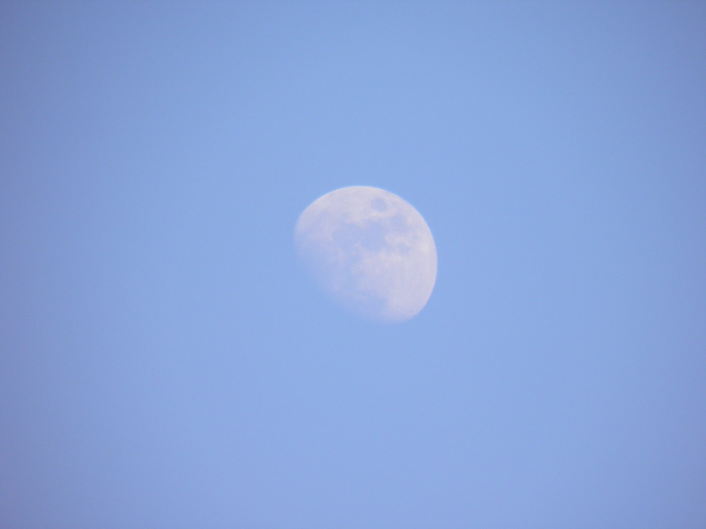 2010_0622_181740-P6220335
