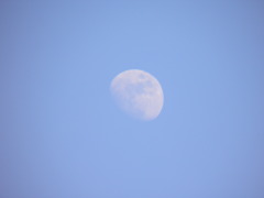 2010_0622_181740-P6220335