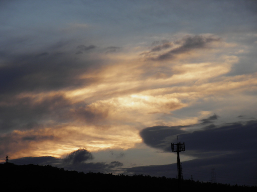 2010_0518_185538-P5180086