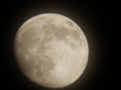 １１月１９日　月