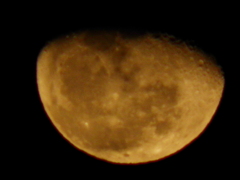 １１月２６日