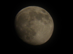 １１月１９日　月