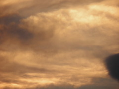 2010_0518_185509-P5180083