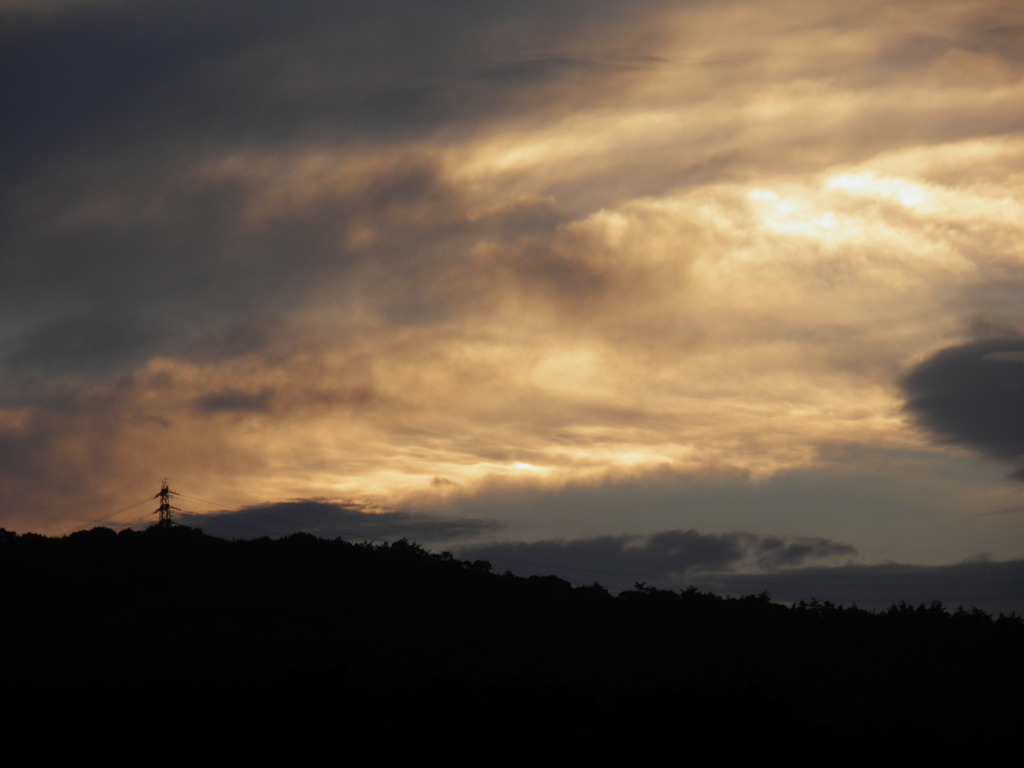 2010_0518_185419-P5180081