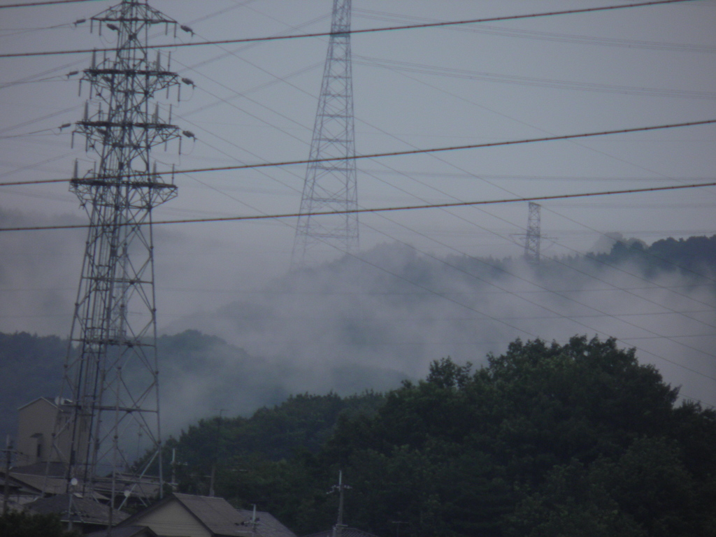 7月１６日　霧