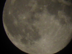 2010_0530_001234-P5300171