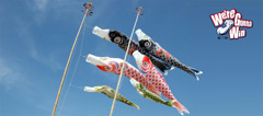 top_koi
