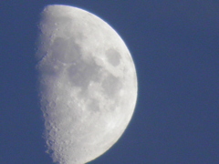 ９月１６日　月