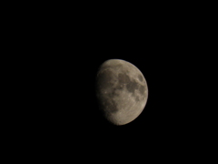 ４月１４日