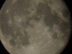 2010_0530_001504-P5300174