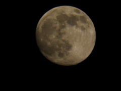 １１月２０日　１８時　満月