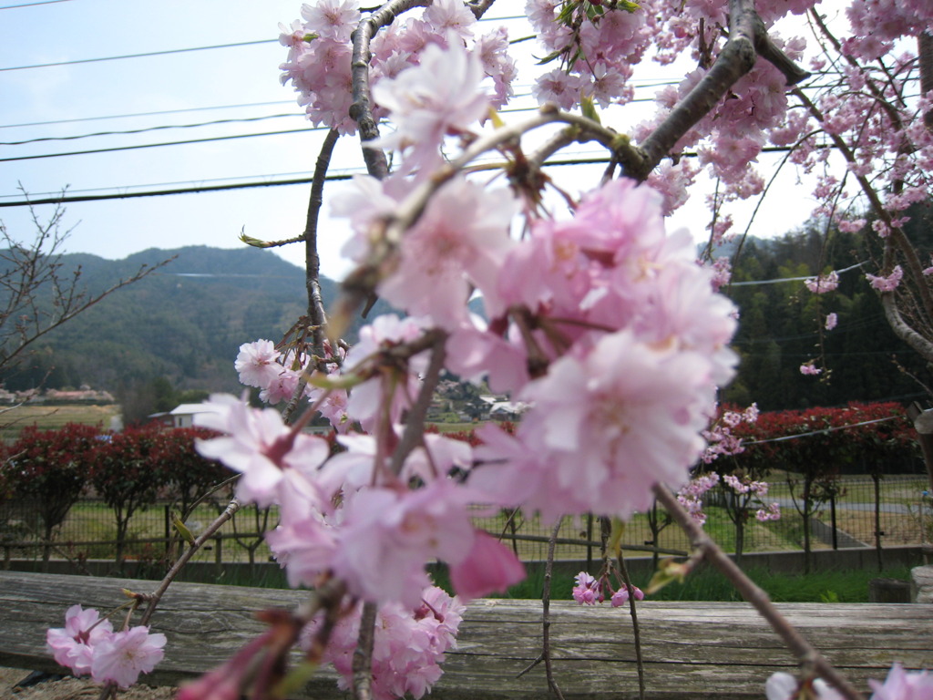 2009_0412_114214-IMG_0478