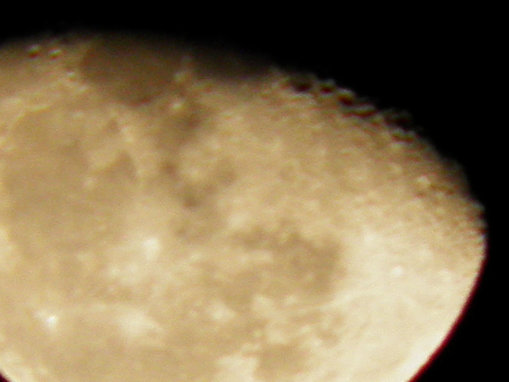 １１月２６日