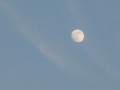 １２月１９日　ISO80