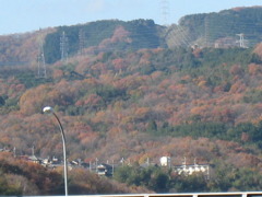１２月４日