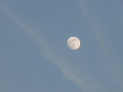 022　１２月１９日　ISO1600