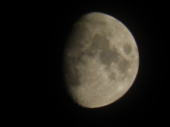 7/21　月