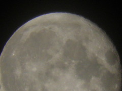 2010_0530　まんげつ