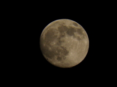 １１月２０日　１８時　　満月