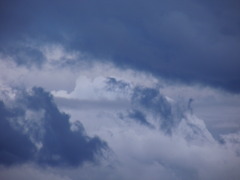 2010_0526