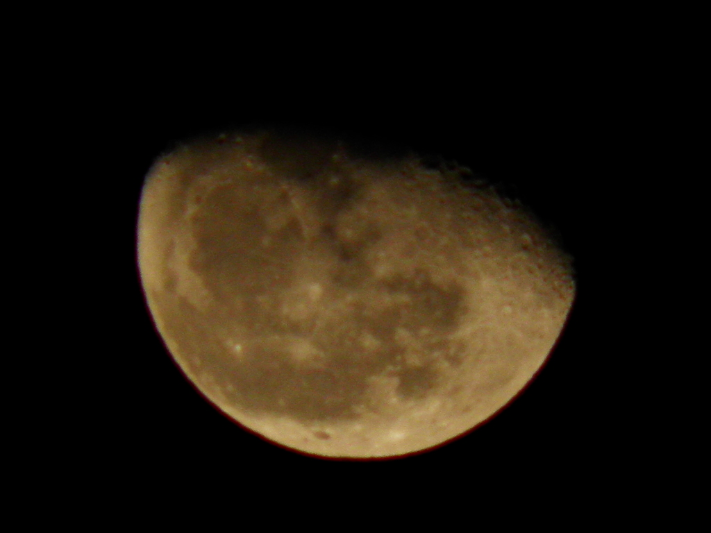 １１月２６日