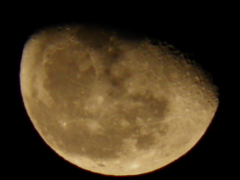 １１月２６日