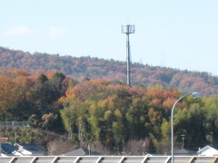 １２月４日
