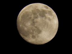 １１月２０日　１８時　満月