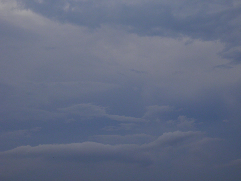 ７月１６日