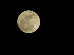 007３月１９日　１９時４５分