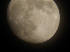 １１月１９日　月