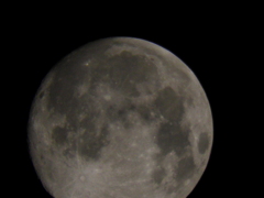 １１月２０日　PM１０時