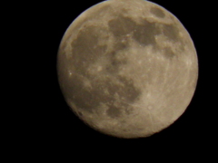 １１月２０日　１８時　満月