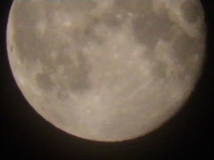 2010_0530_014438-P5300188