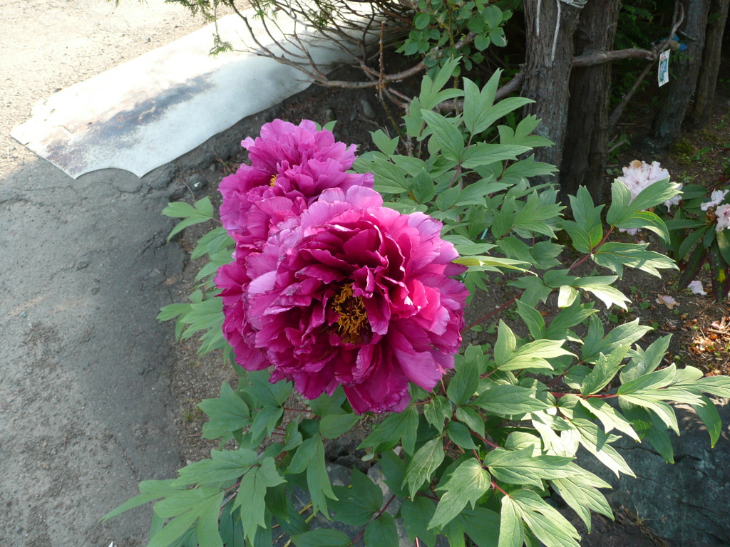 080518
