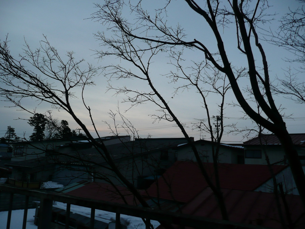 P1020429