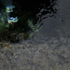 湧き水