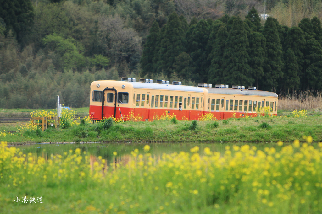 春の路線