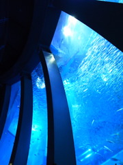 水族館