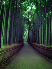 Arashiyama