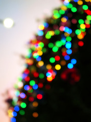 クリスマスツリー