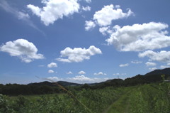 いなか道