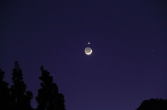 三日月と金星