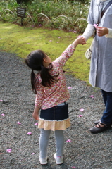 ママ おはな